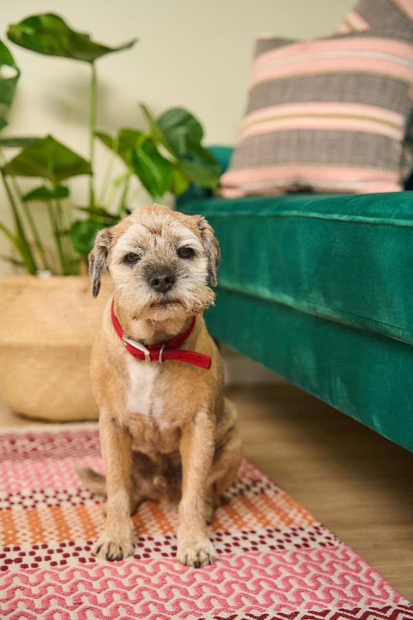 Cosy Cottage In Hebden, 3Br, Views, Pet Friendly 헵덴브릿지 외부 사진